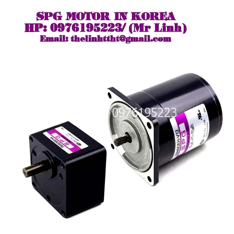 INDUCTION MOTOR SPG 40W(􄦠90㎜)