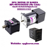 Speed Control Induction SPG Motor (90W □90mm)